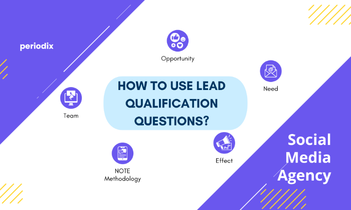 Lead qualification