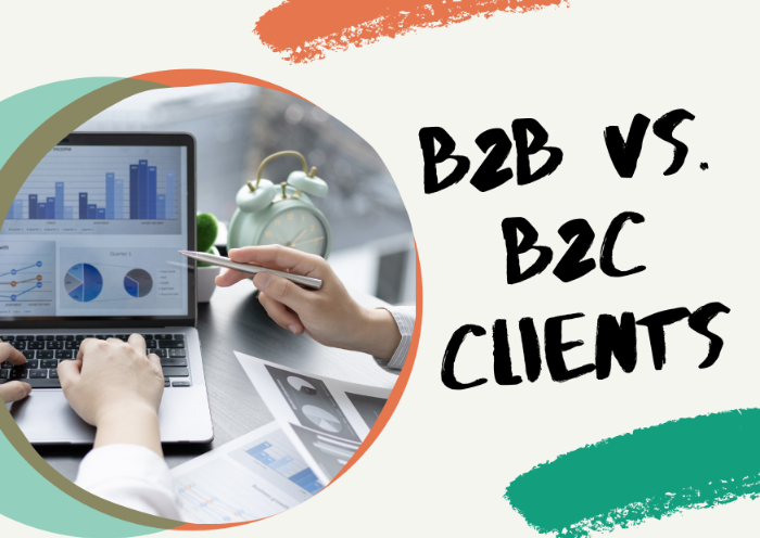 B2B VVS B2C Clients