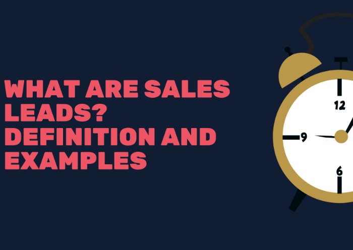 What are Sales Leads? Definition and Examples